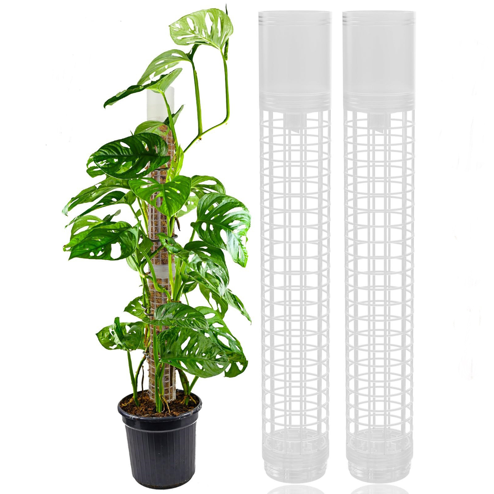 Tree Stand Ladder - Self-watering Moss Pole Plastic Plant Stand