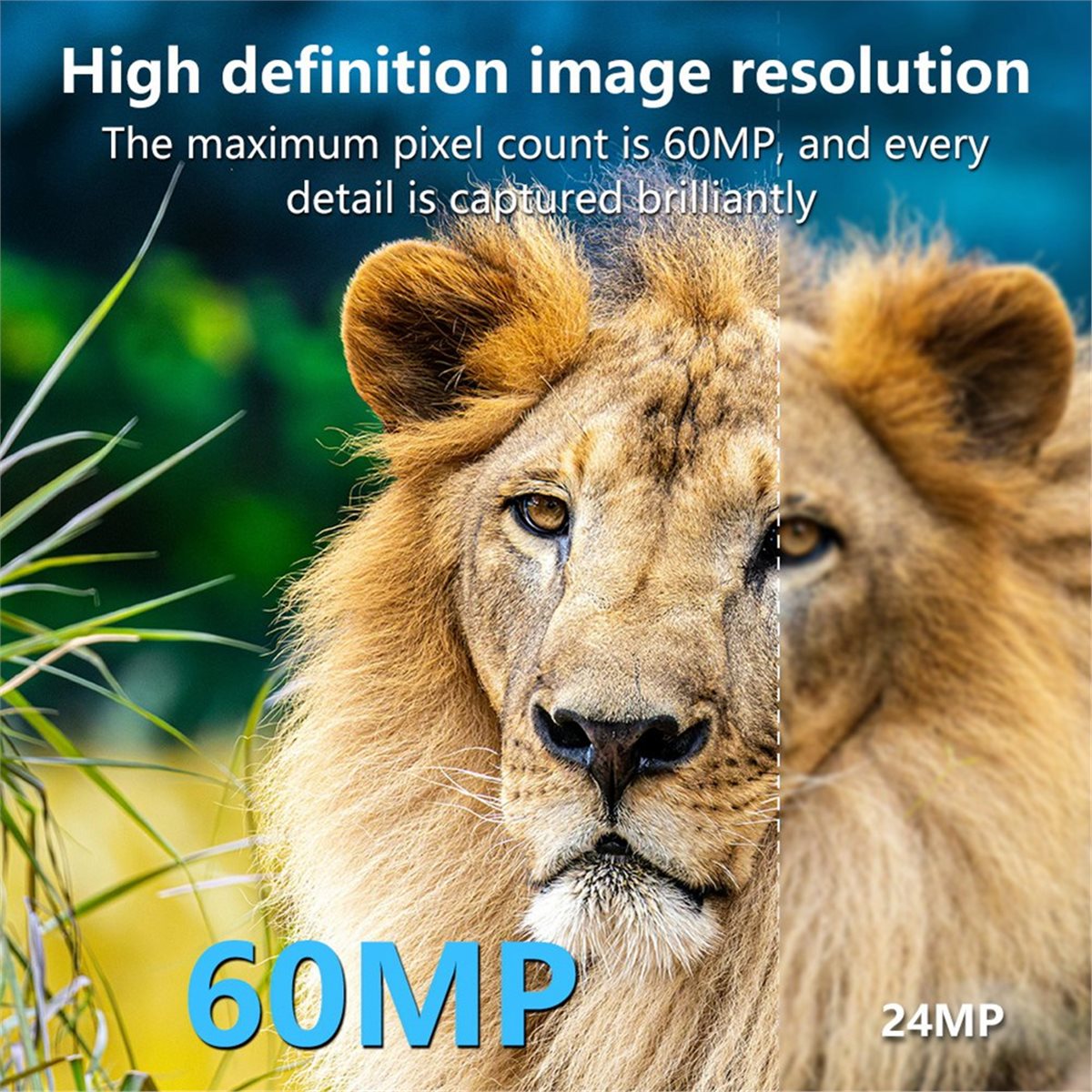 AS62 8K Hunting Camera HD Wild - Hunting Outdoor Rug のレビューと価格