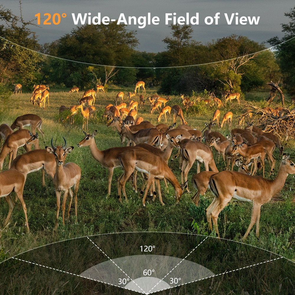 WiFi Trail Camera, 60MP Wildli - Hunting Outdoors Card のレビューと価格
