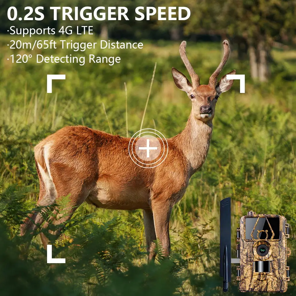 1Pcs HD8K Infrared Camera For  - Outdoor Hunting Camera Wifi のレビューと価格