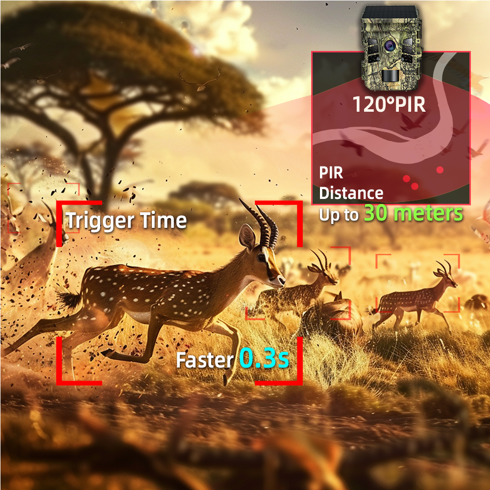Wildlife Camera Solar Energy T - Outdoor Hunting Camera Wifi のレビューと価格