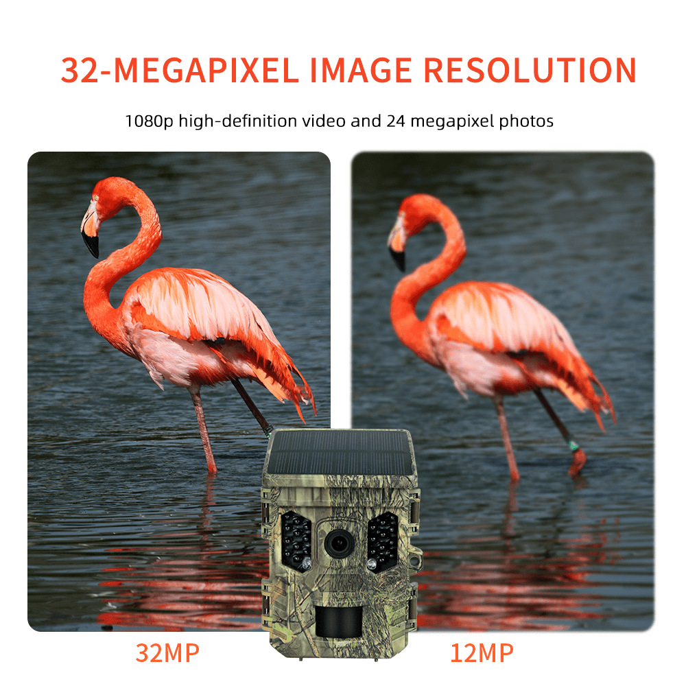 Wildlife Camera Solar Energy T - Outdoor Hunting Camera Wifi のレビューと価格