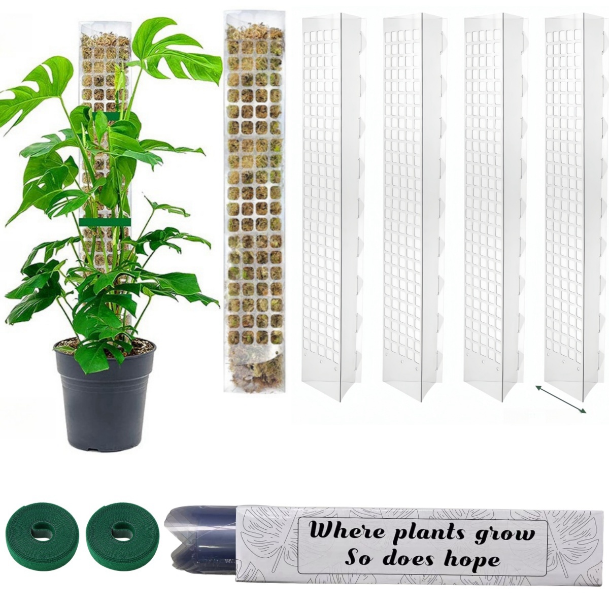 24/36/48Inch Climbing Plant Wa - Tree Stand Ladder のレビューと価格