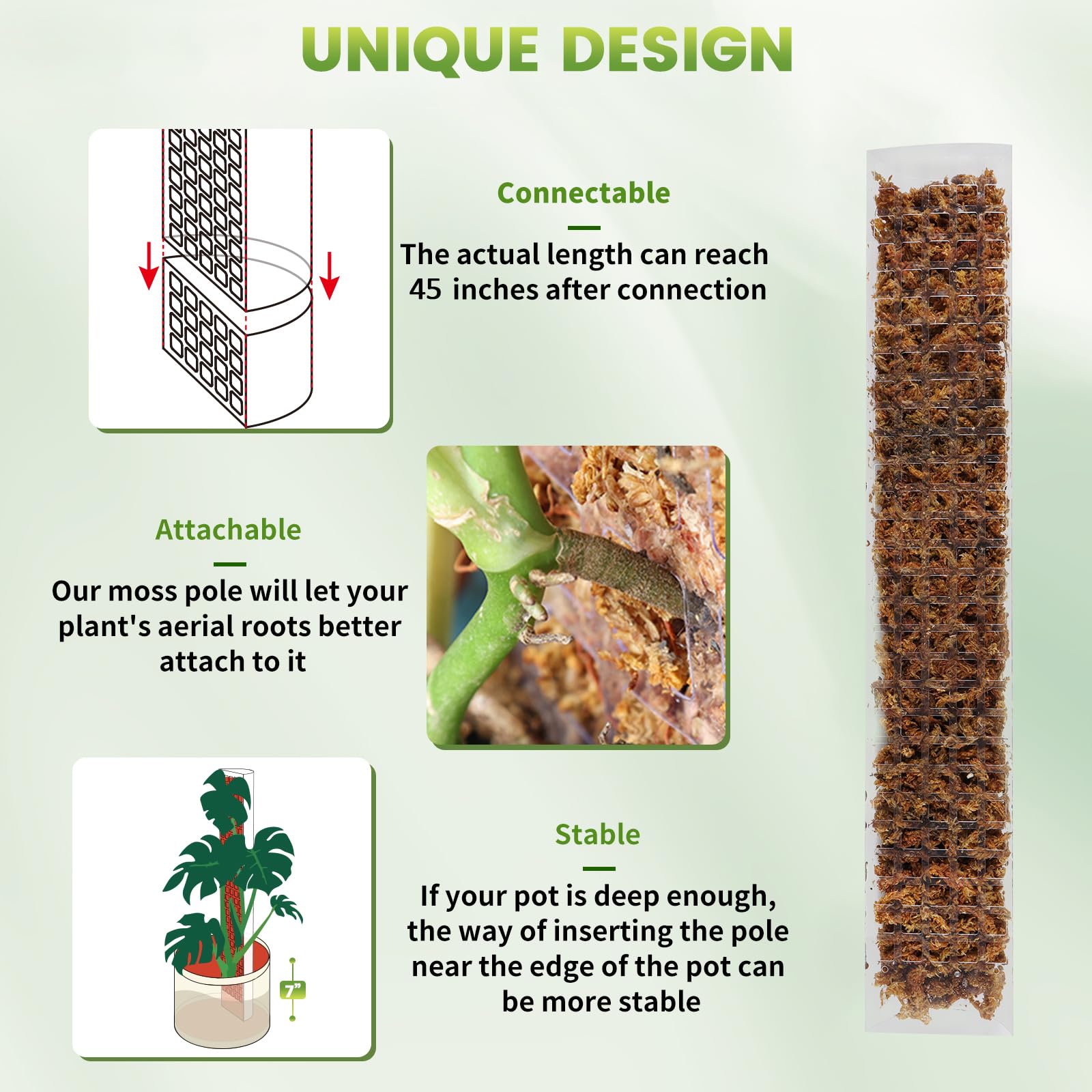 24/36/48Inch Climbing Plant Wa - Tree Stand Ladder のレビューと価格