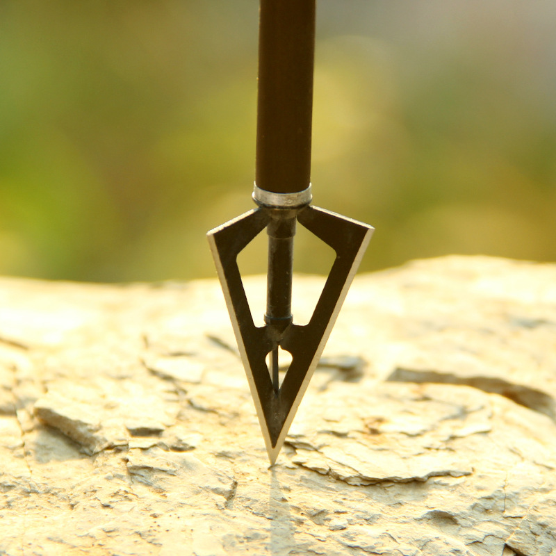 In Store 5PCS Devil Archery Po - Hunting Outdoor Stores のレビューと価格