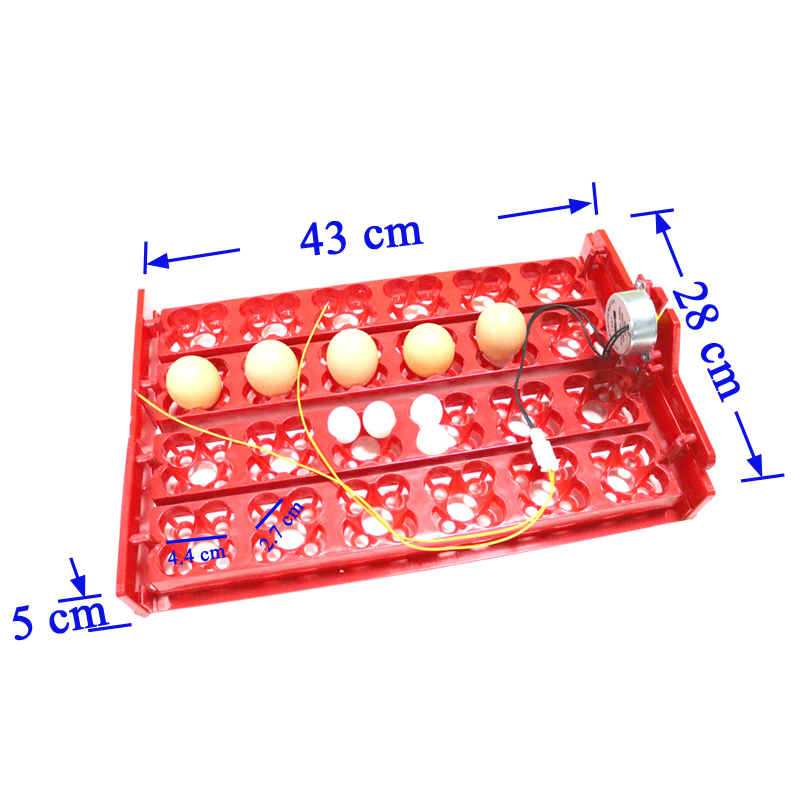 24 Eggs/96 Quail Eggs Hatching - Hunting Quail のレビューと価格