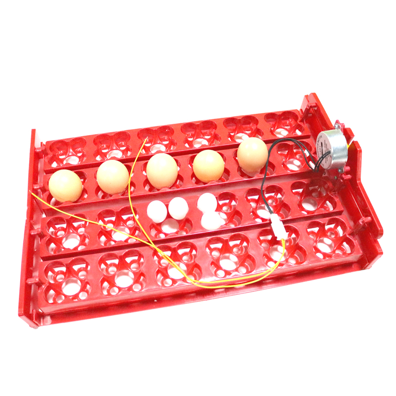 24 Eggs/96 Quail Eggs Hatching - Hunting Quail のレビューと価格