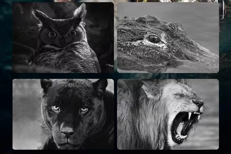 1080P Full HD IR Night Vision  - Hunting Outdoors Card のレビューと価格