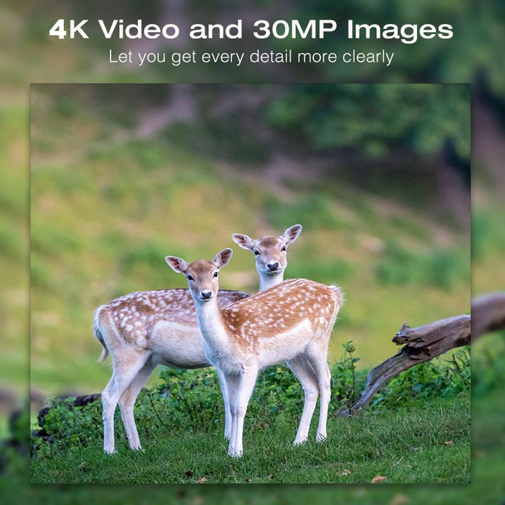 Solar Panel Hunting Camera 4K  - Outdoor Hunting Camera Wifi のレビューと価格