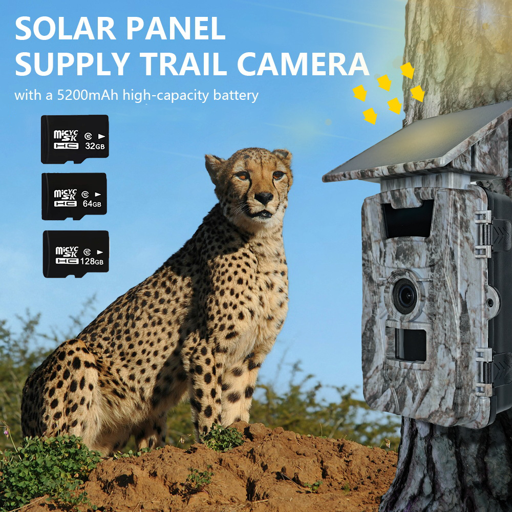 Solar Wildlife WiFi Cameras 60 - Outdoor Hunting Camera Wifi のレビューと価格