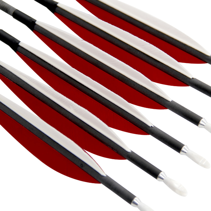 Pinals 12pcs ID6.2mm Pure Carb - Arrow Carbon Shaft のレビューと価格