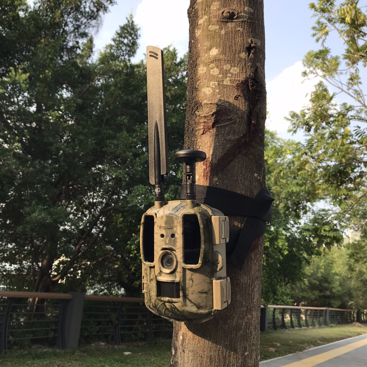 BALEVER Camera OEM Hunting Tra - Outdoor Hunting Camera Wifi のレビューと価格