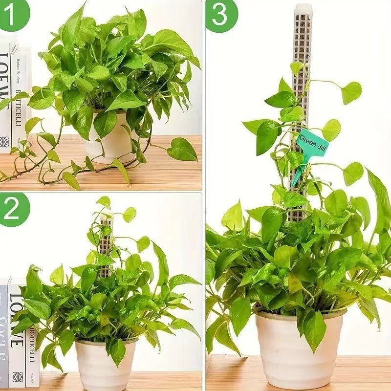 1/2/3pcs Self-watering Moss Po - Tree Stand Ladder のレビューと価格