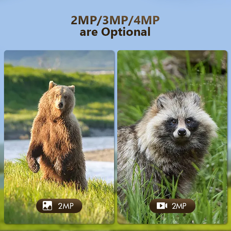 4G 4MP Outdoor Wildlife Huntin - Outdoor Hunting Camera Wifi のレビューと価格