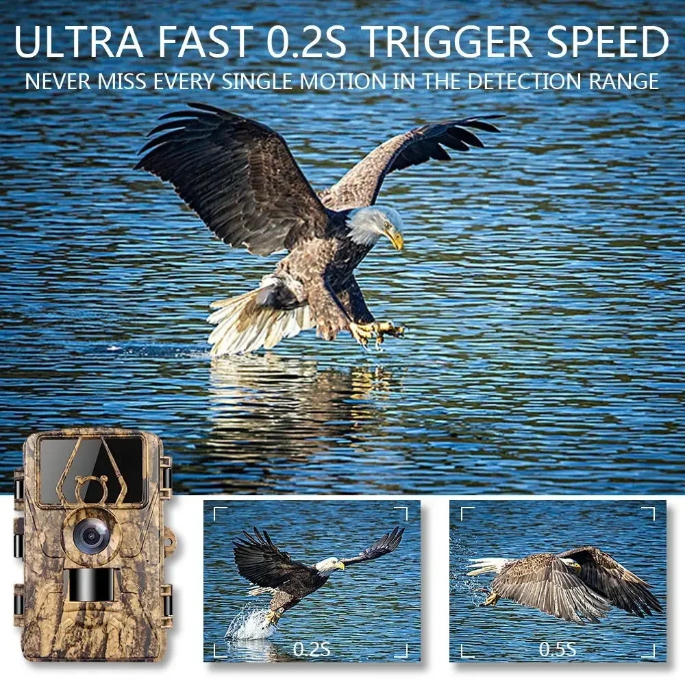 PR801W WIFI 8K 60MP Digital Tr - Outdoor Hunting Camera Wifi のレビューと価格