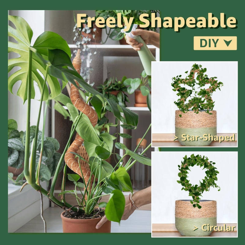 1/2/6pcs Plant Climbing Pole,  - Tree Stand Ladder のレビューと価格