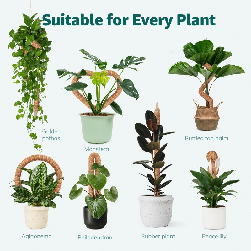 1/2/6pcs Plant Climbing Pole,  - Tree Stand Ladder のレビューと価格
