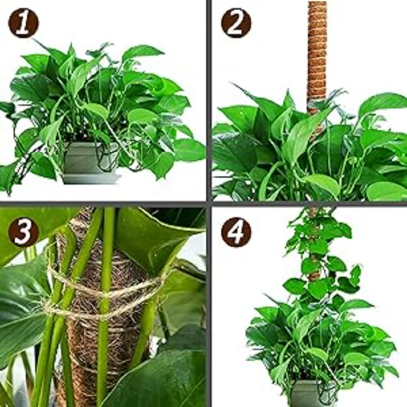 1/2/6pcs Plant Climbing Pole,  - Tree Stand Ladder のレビューと価格