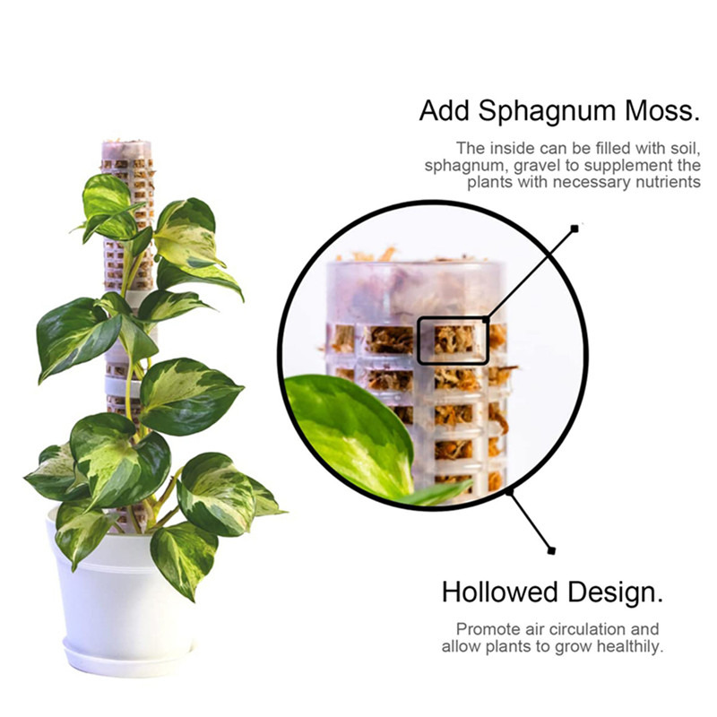 Plant Climbing Column Sphagnum - Tree Stand Ladder のレビューと価格