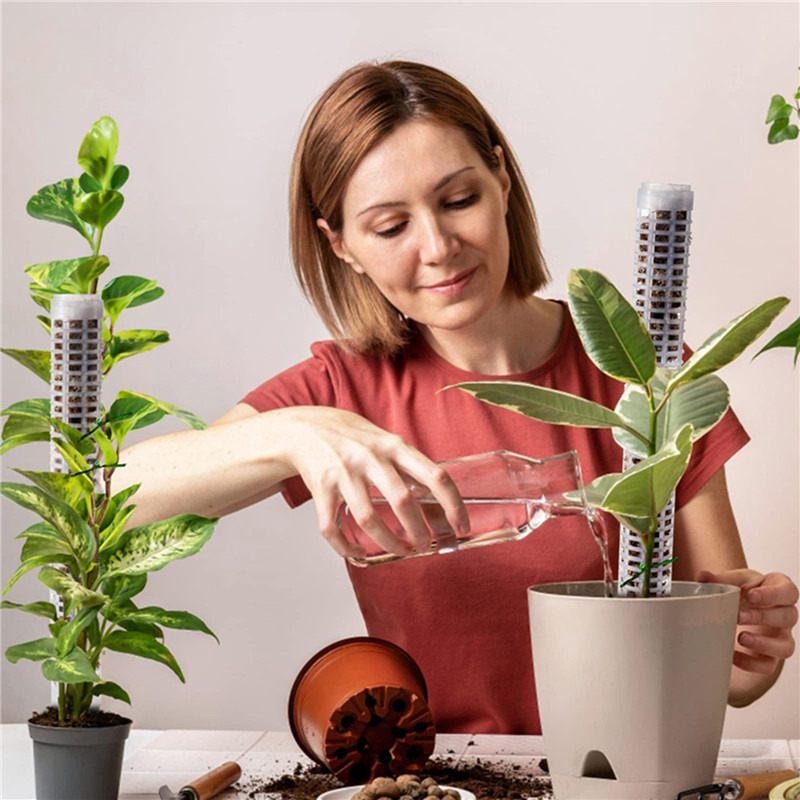 Plant Climbing Column Sphagnum - Tree Stand Ladder のレビューと価格