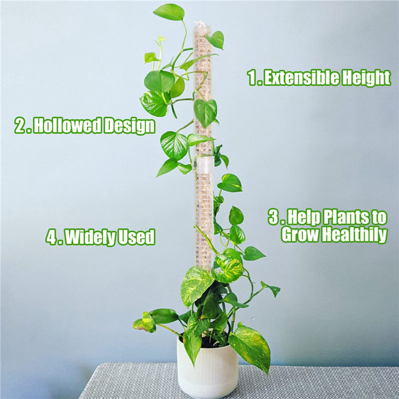 Plant Climbing Column Sphagnum - Tree Stand Ladder のレビューと価格