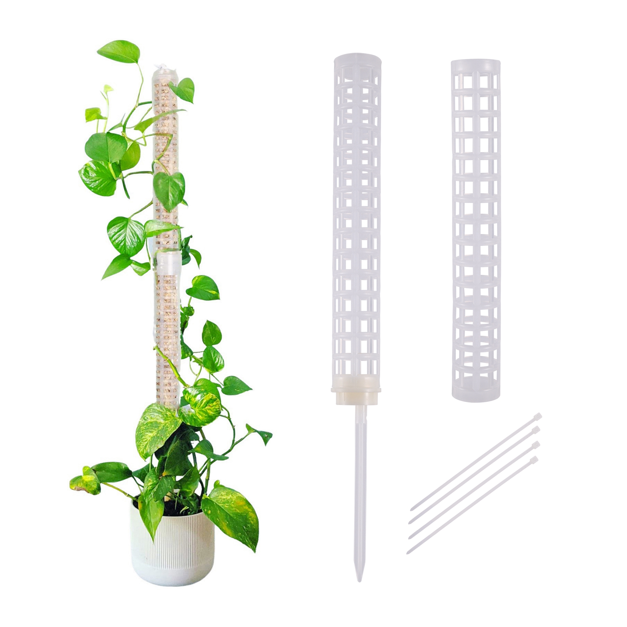 Plant Climbing Column Sphagnum - Tree Stand Ladder のレビューと価格