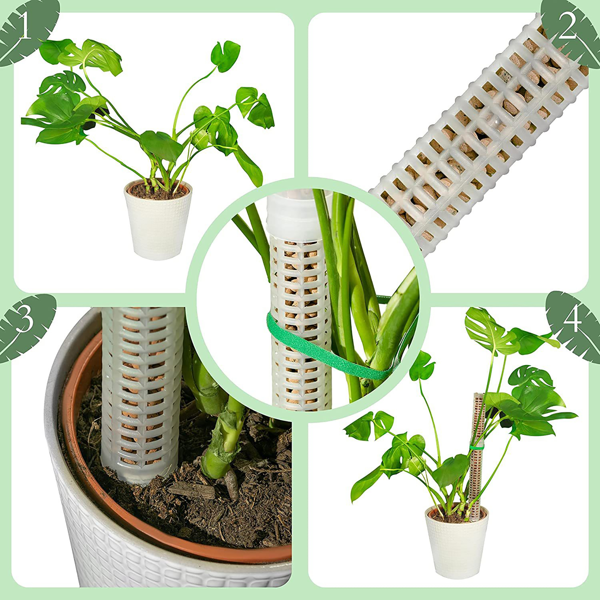 Plant Climbing Column Sphagnum - Tree Stand Ladder のレビューと価格
