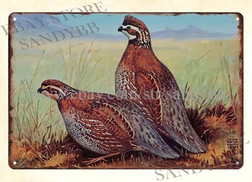 1950S STORZ BEER LYNN BOGUE HU - Hunting Quail のレビューと価格