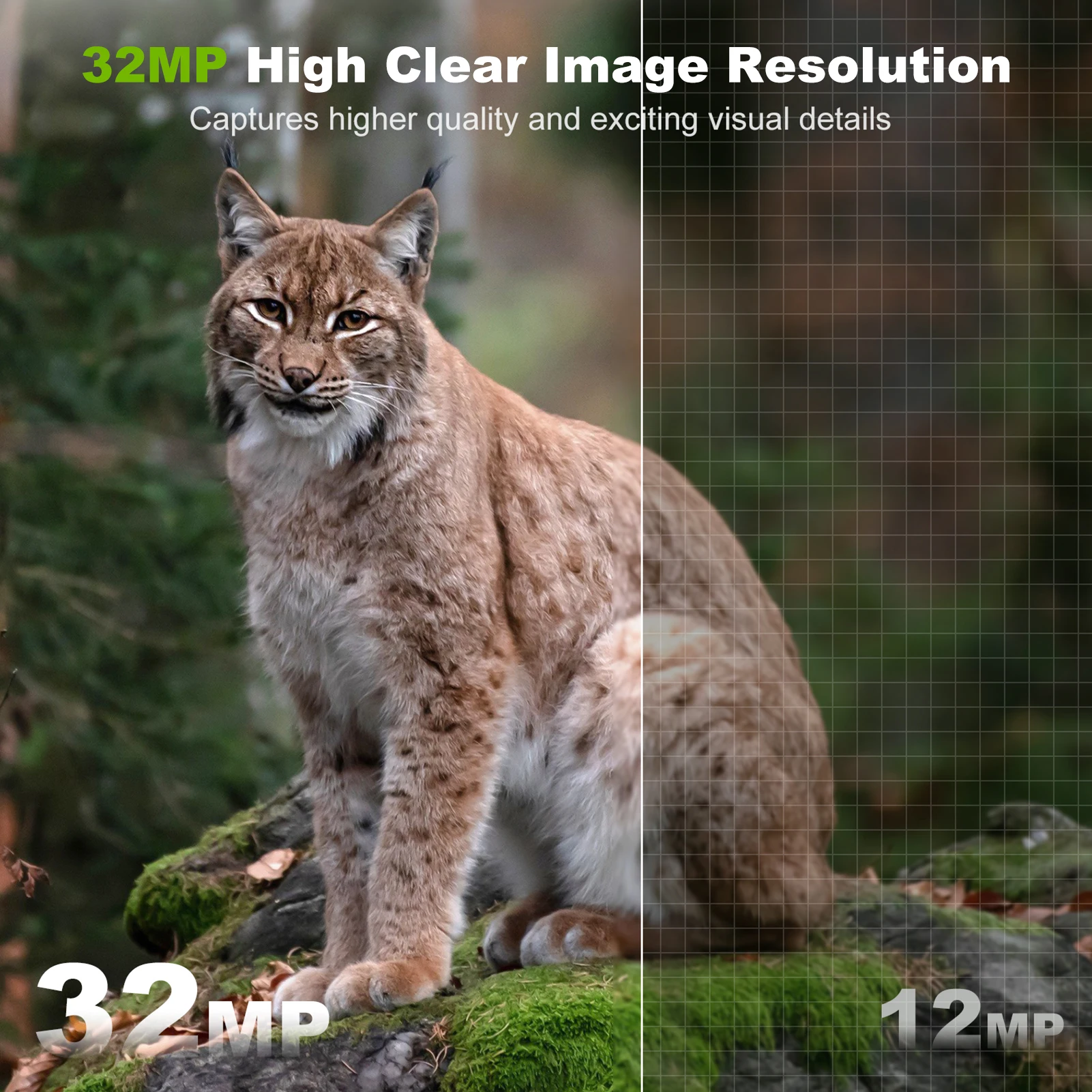 Custom Custom Your Photo Logo  - Outdoor Hunting Logo のレビューと価格