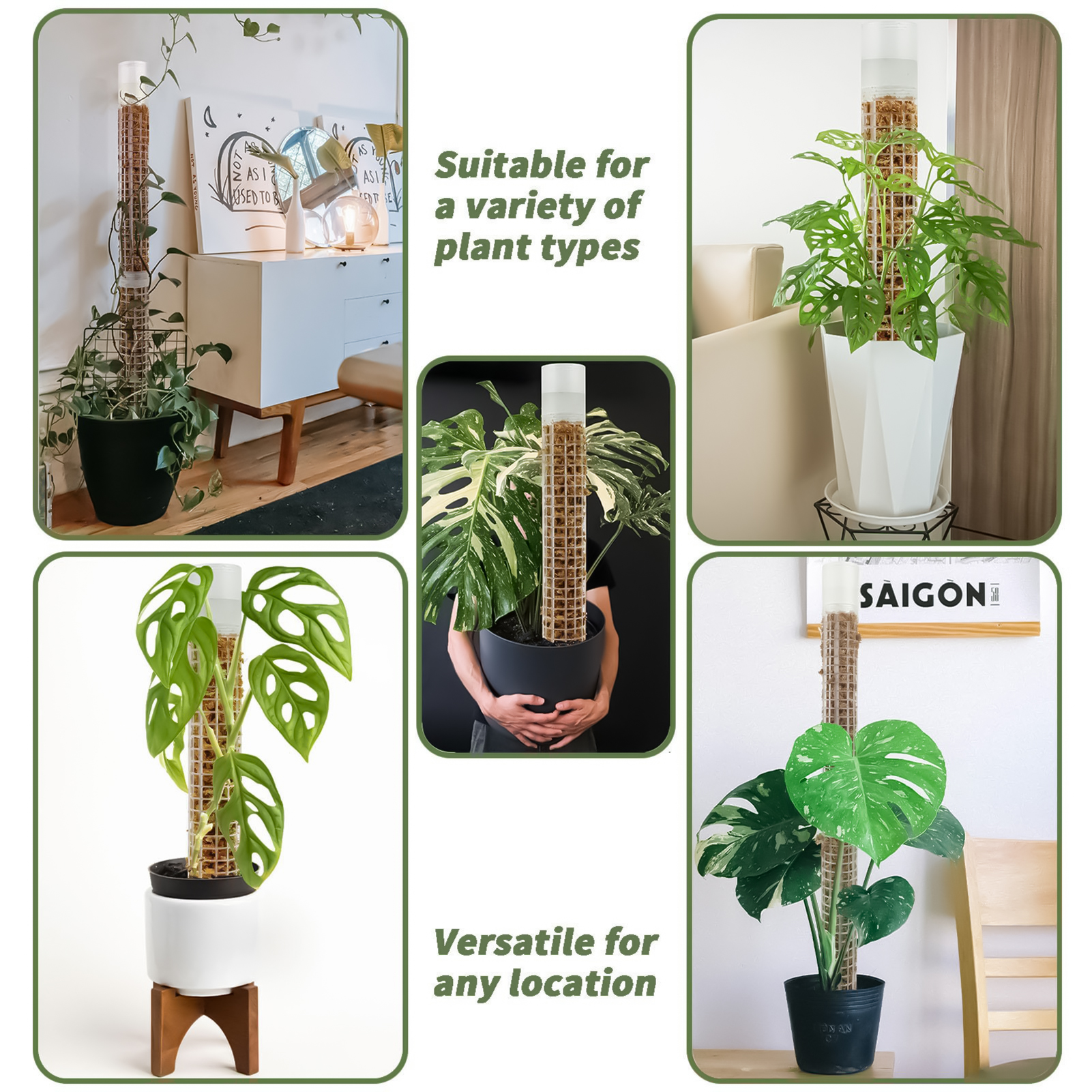 Self-watering Moss Pole Plasti - Tree Stand Ladder のレビューと価格