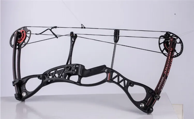 M122 Compound Bow for Hunting  - Hunting Fishing Outdoor のレビューと価格