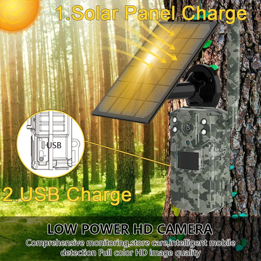 Solar Powered Hunting Trail Ca - Hunting Outdoors Card のレビューと価格