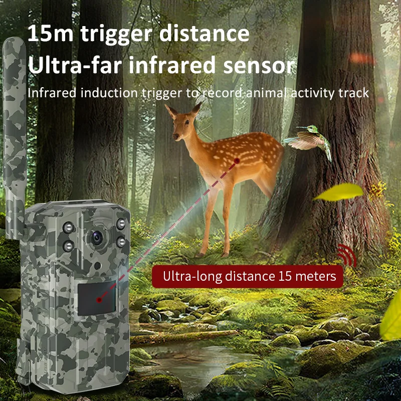 Solar Powered Hunting Trail Ca - Hunting Outdoors Card のレビューと価格
